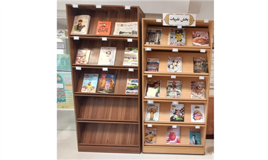 نشریان نوجوان و بزرگسال